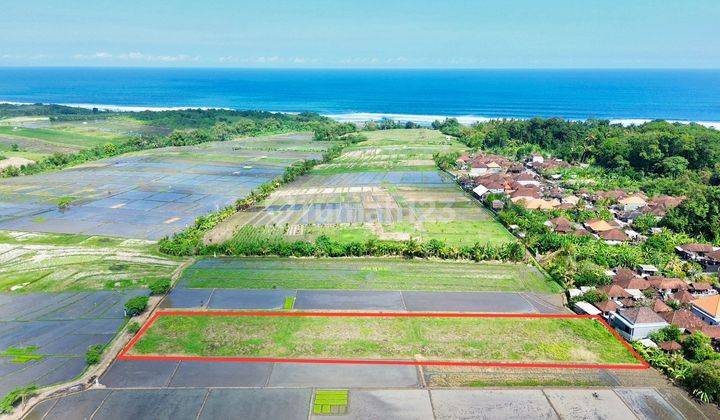 Dijual tanah klating tabanan bali di Kelating tabanan bali
 1