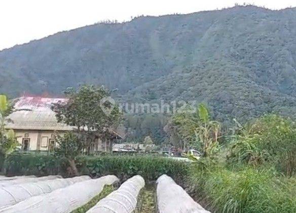 DI JUAL TANAH DATAR SIAP BANGUN.
LOKSI JLN PUNCAK SANGKUR...TAMAN WISATA  DAJAN DANAU BERATAN..BEDUGUL. 2