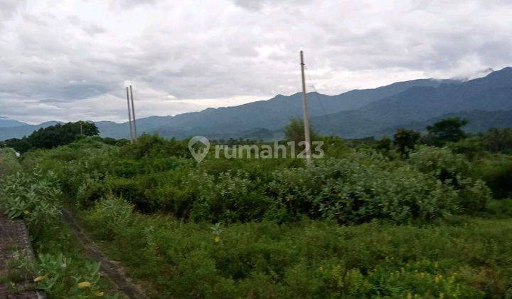 Luas 200000 (20 Hektar)tanah Lost Pantai Singaraja Bali 2