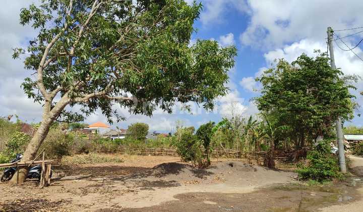 Dijual Tanah Murah Dijimbaran 1