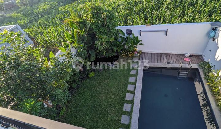 House With Pool In Gianyar Saba