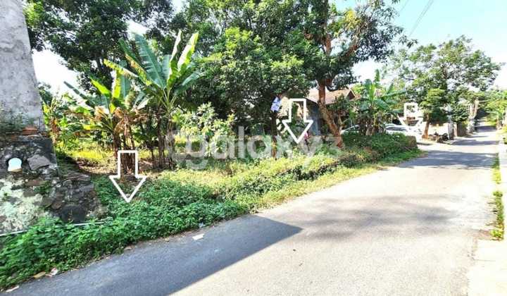 T Tanah Dekat Kampus Undip Tembalang 1