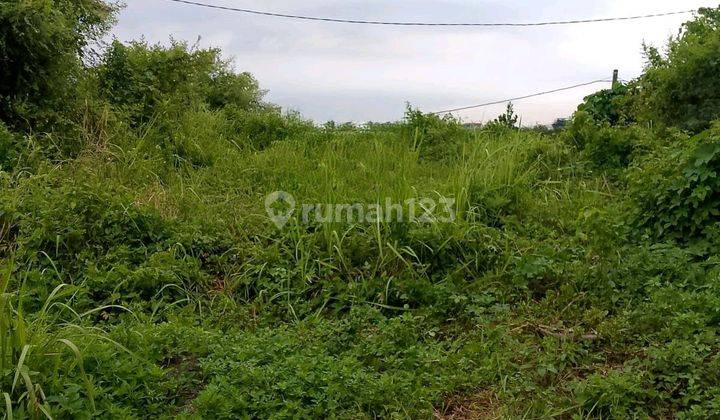 H Tanah Di Lokasi Berkembang Ngaliyan 1