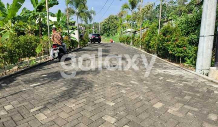 T Tanah Jl. Mangunharjo Dekat Kampus Undip Tembalang 1