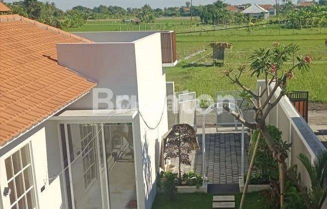 NEW VILLA FOR SALE ON THE EDGE OF RICE FIELDS IN LOVINA BULELENG 1