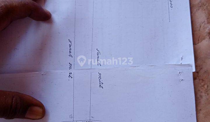 Disewakan tanah 8 Are area umalas zona hijau dan dekat wisata 1