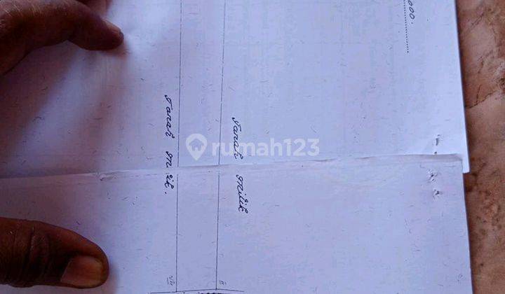 Disewakan tanah 8 Are area umalas zona hijau dan dekat wisata 2