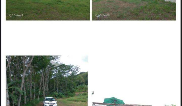 Dijual Tanah di Dukuh Trangkil, Gunung Pati, Semarang 1