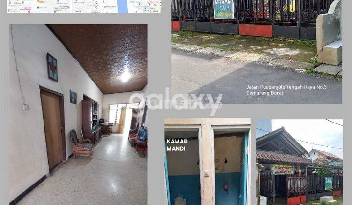 Dijual Rumah Jl Pusponjolo Tengah Raya Semarang 1