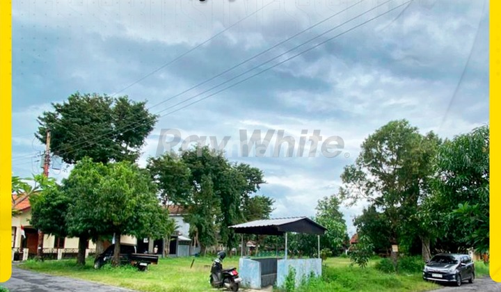 Dijual Tanah di Ngringo Jaten Cocok untuk Perumahan
