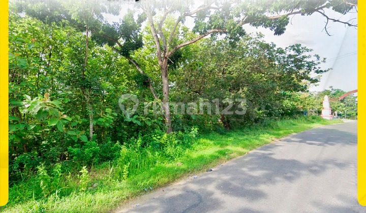 Land for Sale, Suitable for Investment in Pohgogor Mulur Bendosari