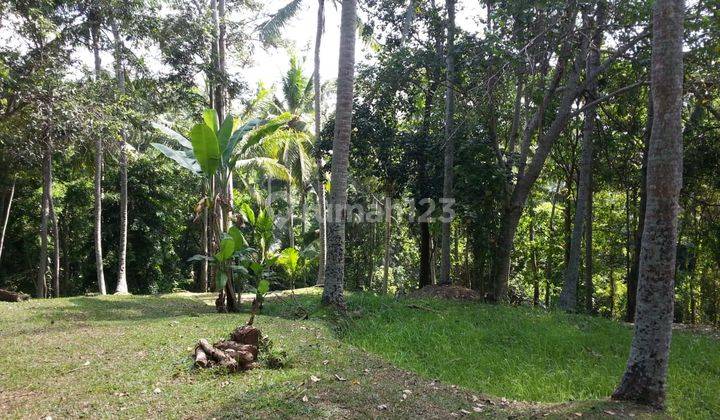 Land for sale in Cepaka, Tabanan, Bali 1