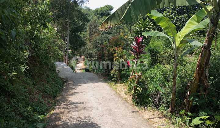 Tanah Dijual di Kemuning Sebelah Utara D'rodjo Valley Ngargoyoso Karanganyar Tanah Dijual di Kemuning Sebelah Utara D'rodjo Valley Ngargoyoso Karanganyar
