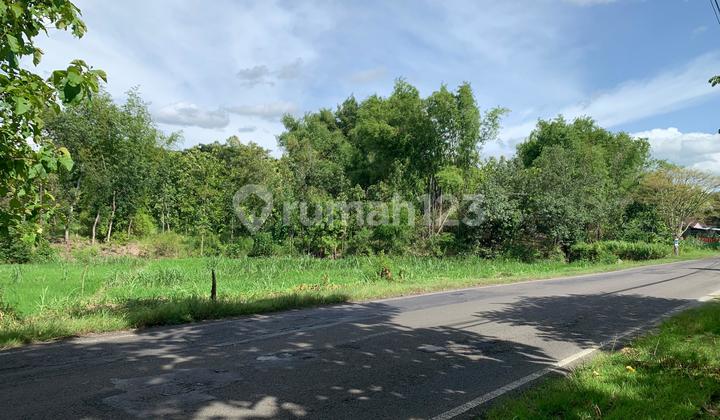 Tanah dijual murah di Wuryantoro Wonogiri lebar depan 40m