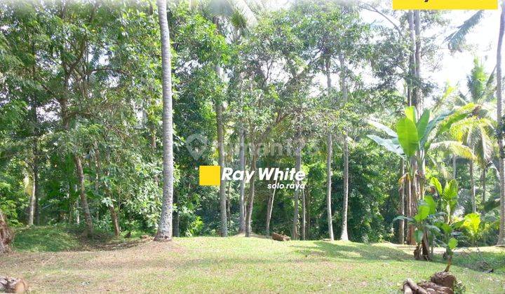 Land for sale in Cepaka, Tabanan, Bali 2