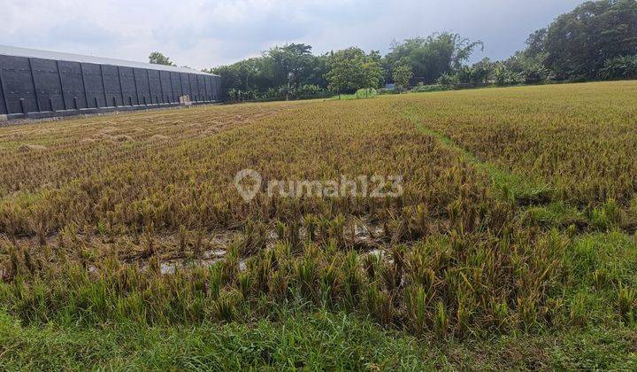 Tanah di Pandeyan Tasikmadu Karanganyar, Karanganyar SHM 1.606 m² 2