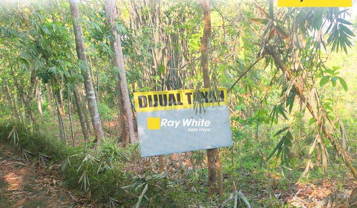 Dijual Tanah di Ngadirojo, Wonogiri 1