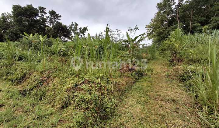 Tanah Matesih, Karanganyar 7860 m2 SHM Bagus Tanah Matesih, Karanganyar 7860 m2 SHM Bagus