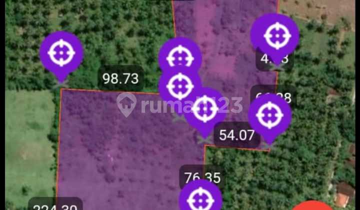 Tanah 45420 m2 SHM Negara, Jembrana Bali Cocok buat usaha