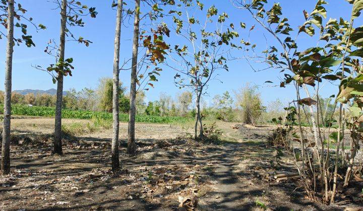 Dijual Tanah di Giriwoyo, Wonogiri 2