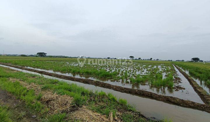 Dijual Tanah di Sonorejo, Sukoharjo 2