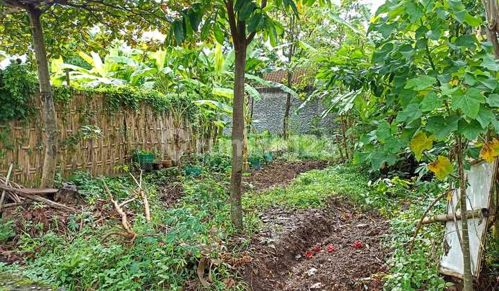 Dijual Tanah di Gondangrejo Solo