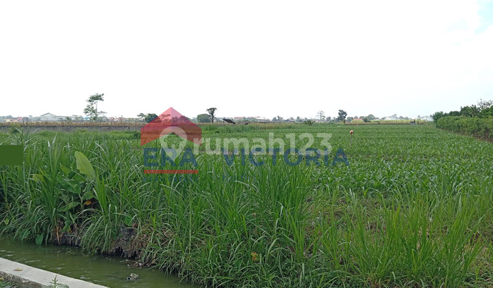 Land Area in Kampung Inggris Tulungrejo Pare for Sale