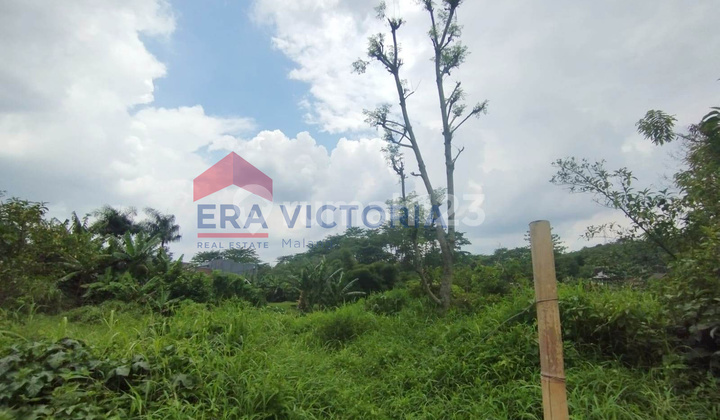 Tanah Kavling Lawang Dekat Pasar & Kebun Teh Potensi Investasi