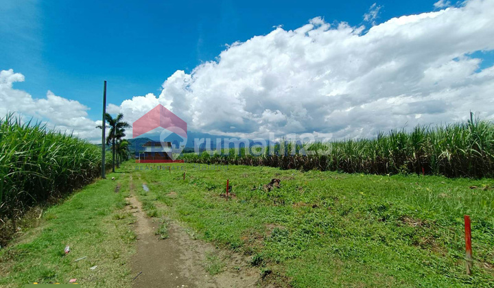 Jual Tanah Kavling Pakisaji Lokasi Berkembang Siap Bangun Akses Utama Jual Tanah Kavling Pakisaji Lokasi Berkembang Siap Bangun Akses Utama