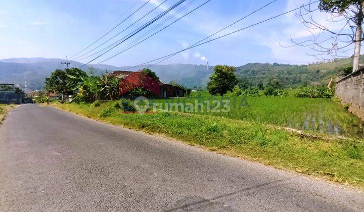 Di Jual Tanah Cocok untuk Usaha Lokasi Poros Jalan Lawang 2