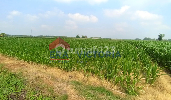 Jual Tanah 16057 m2 SHM Badas, Kediri