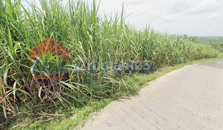 Tanah Kering Dijual di Pinggir Jalan 10 Menit dari PG Kebonagung