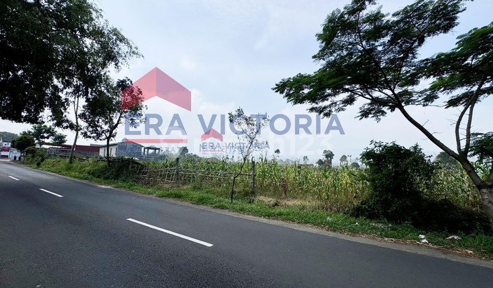 Land by the Road to Bromo, a Strategic Location for Tourist Destinations.