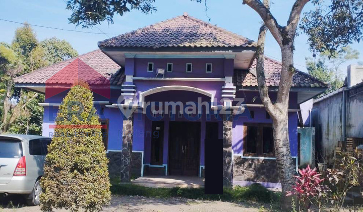 House & Farm Land Near Bromo Access, Wide Road, Comfortable Environment