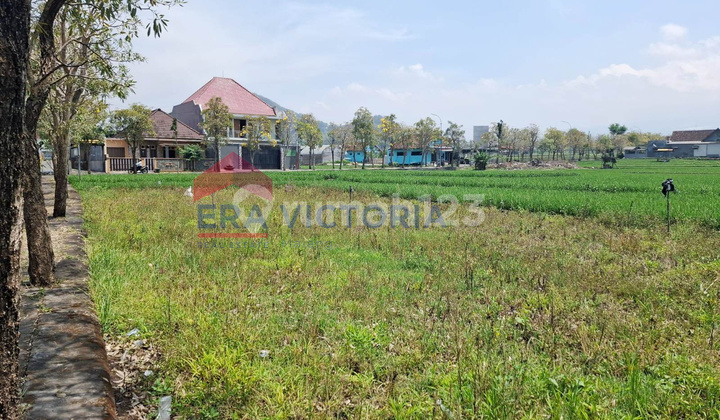 Land for Sale Near Arhanud Intersection Flexible Can Buy ¼ of the Land