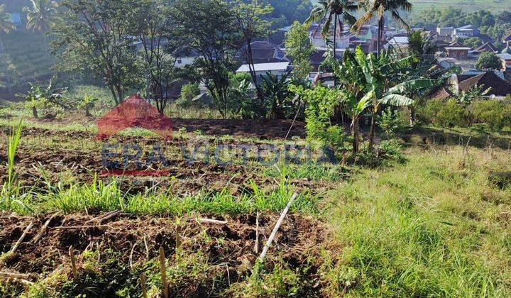 Tanah Daerah Torongrejo Dekat Jatim Park 3, Among Tani  1