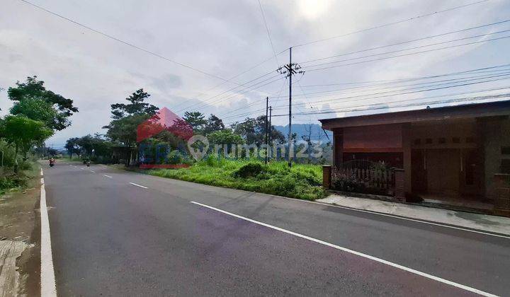 Tanah Luas Lokasi Ngantang Dekat Pasar Ngantang Cocok untuk Berkebun 2