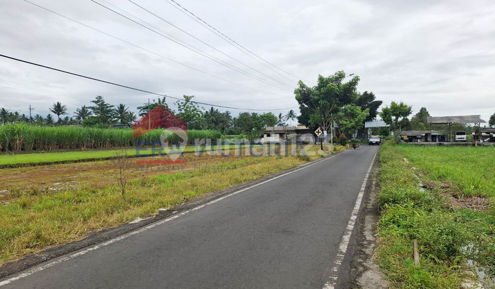 Tanah Pertanian Tumpang Dekat Candi Kidal Cocok untuk Kebun & Investasi Tanah Pertanian Tumpang Dekat Candi Kidal Cocok untuk Kebun & Investasi