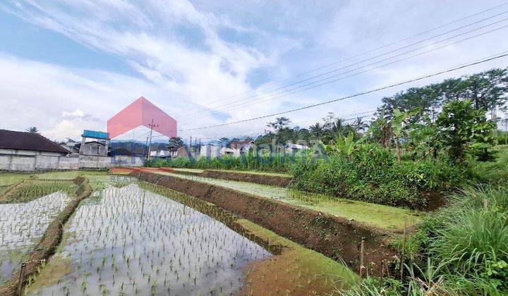 Tanah Luas Lokasi Ngantang Dekat Pasar Ngantang Cocok untuk Berkebun 1