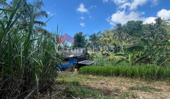 Land Large Area Bantur Easy Access to Balekambang Investment Potential