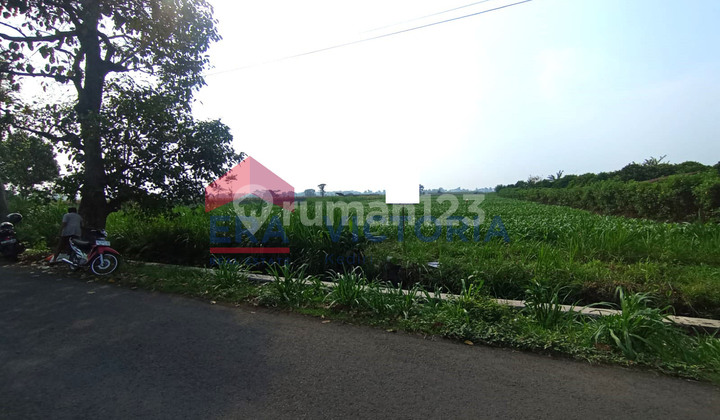 Land Area in Kampung Inggris Tulungrejo Pare for Sale