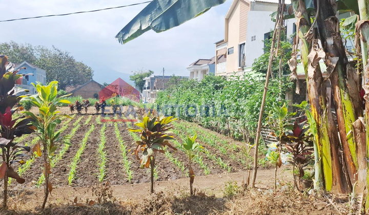 Tanah Luas Dekat Kampus & Wisata Sengkaling, Potensi Nilai Terus Naik