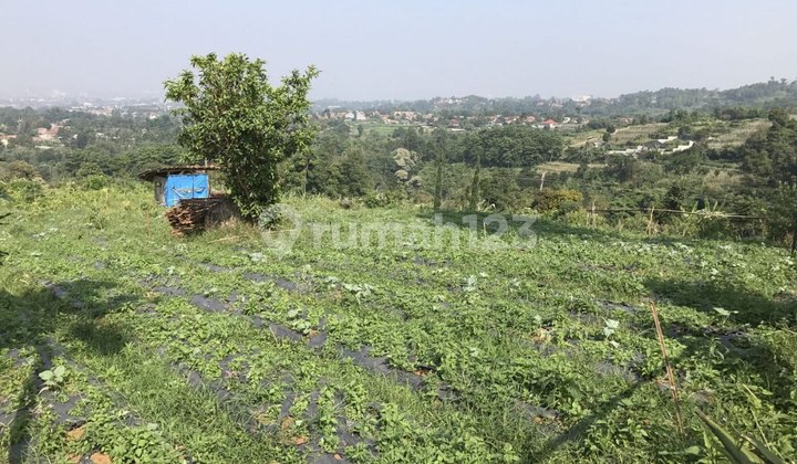 Land in Lembang. Check out this serene single-story land for sale, offering a complete range of facilities, perfect for those seeking a comfortable residence. Main property specifications: - Certificate: SHM - Certificate of Ownership Land in Lembang. Check out this serene single-story land for sale, offering a complete range of facilities, perfect for those seeking a comfortable residence. Main property specifications: - Certificate: SHM - Certificate of Ownership