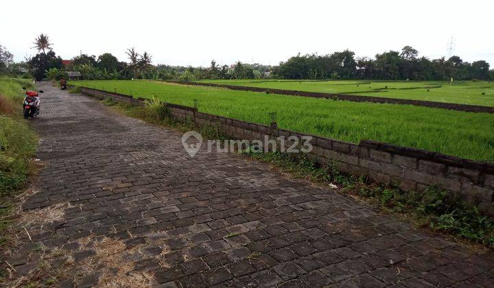 Tanah murah di Bali Deket tanah lot,pantai kedungu,,dan canggu Tanah 2