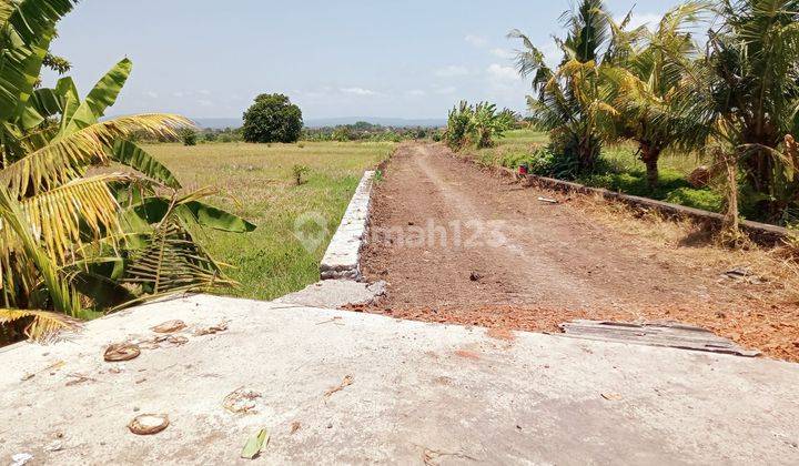 Baru Dibuka Tanah Kavling Dekat Dengan Villa Saori Dan Pantai Klating  2