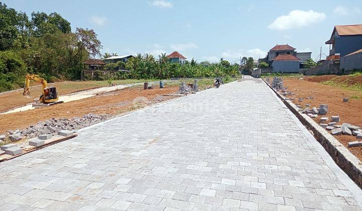 Tanah Kavling Murah Di Tabanan Bali 1