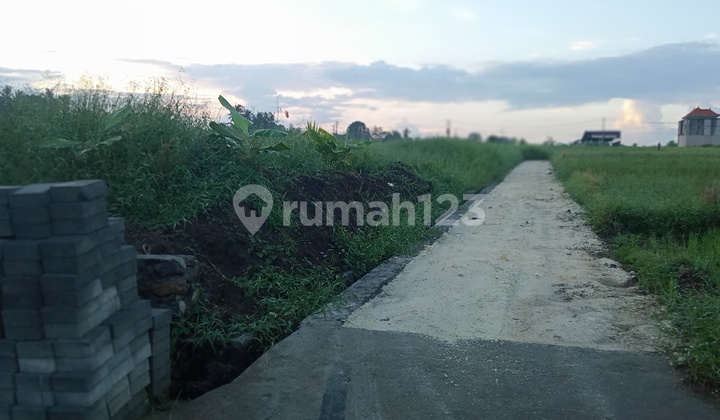 Dijual Tanah Kavling Di Gubug Tabanan Dekat Pantai Yeh Gangga 2