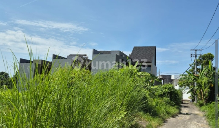 Premium Land in the Center of Villas in Bali Premium Land in the Center of Villas in Bali