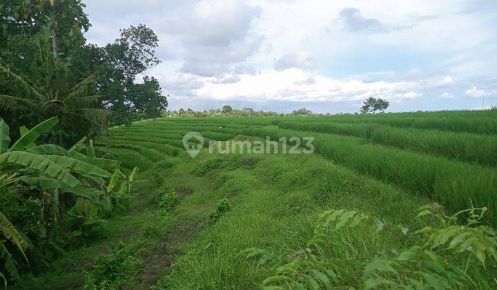 Tanah Premium Di Tabanan View Sungai 1