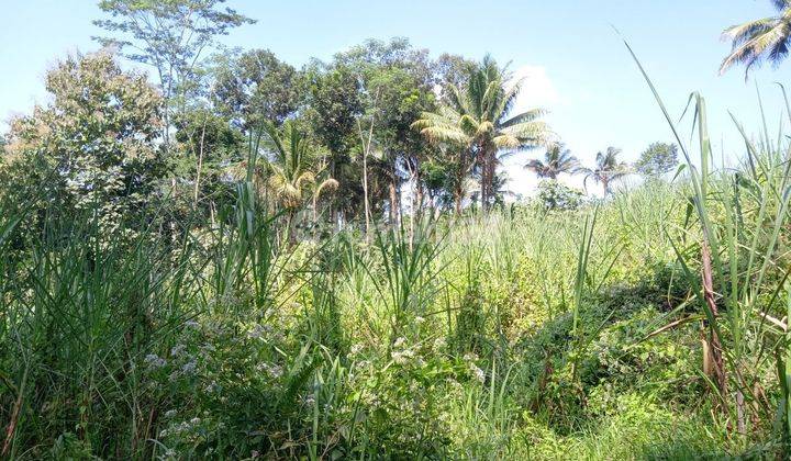 Tanah Murah Luas Lokasi Pinggir Jalan Raya Dekat Kawasan Wisata 2